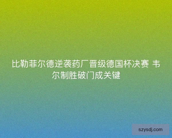 比勒菲尔德逆袭药厂晋级德国杯决赛 韦尔制胜破门成关键