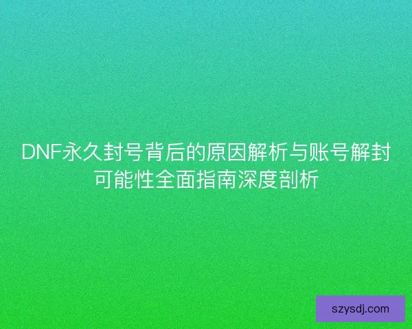 DNF永久封号背后的原因解析与账号解封可能性全面指南深度剖析