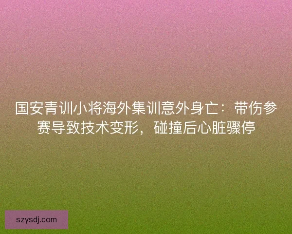 国安青训小将海外集训意外身亡：带伤参赛导致技术变形，碰撞后心脏骤停