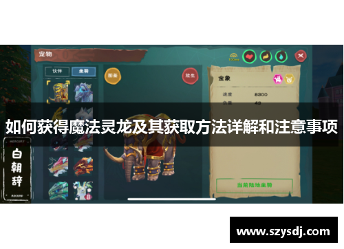 如何获得魔法灵龙及其获取方法详解和注意事项