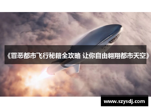 《罪恶都市飞行秘籍全攻略 让你自由翱翔都市天空》