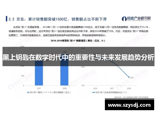 黑上钥匙在数字时代中的重要性与未来发展趋势分析