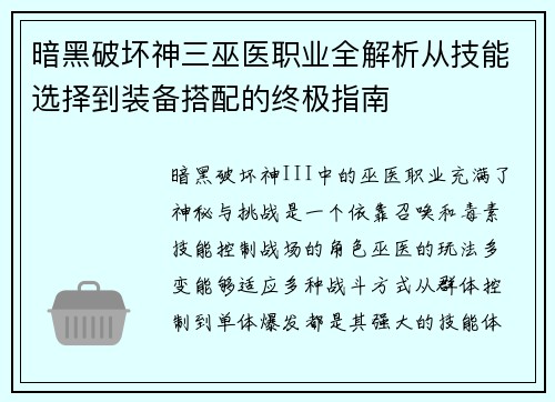 暗黑破坏神三巫医职业全解析从技能选择到装备搭配的终极指南